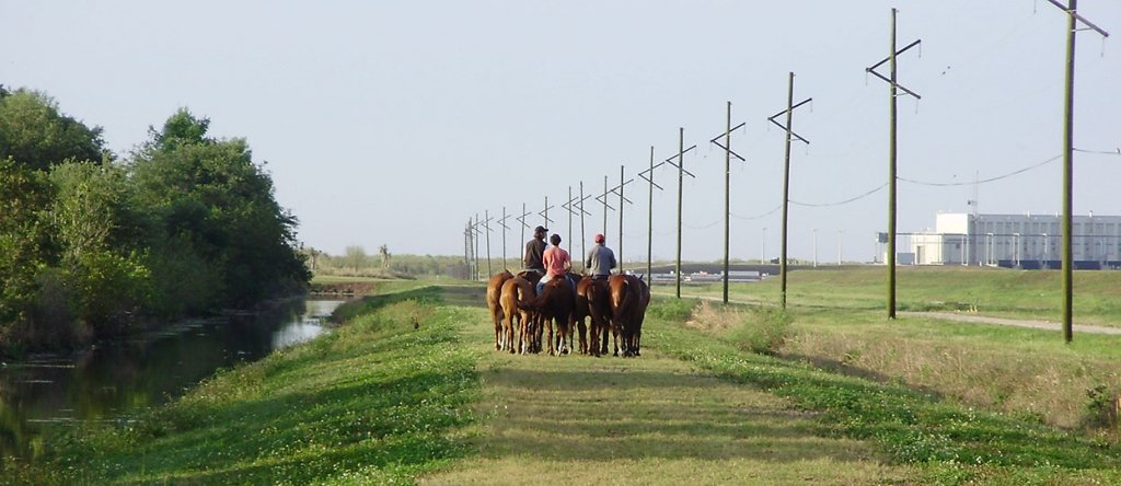 Rustic Ranches